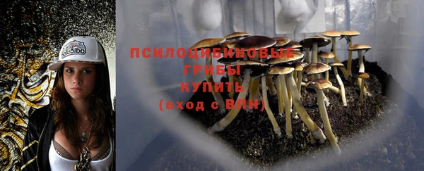 круглые Арсеньев
