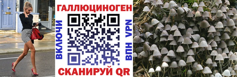 Галлюциногенные грибы Psilocybe  гидра сайт  даркнет официальный сайт  Починок 